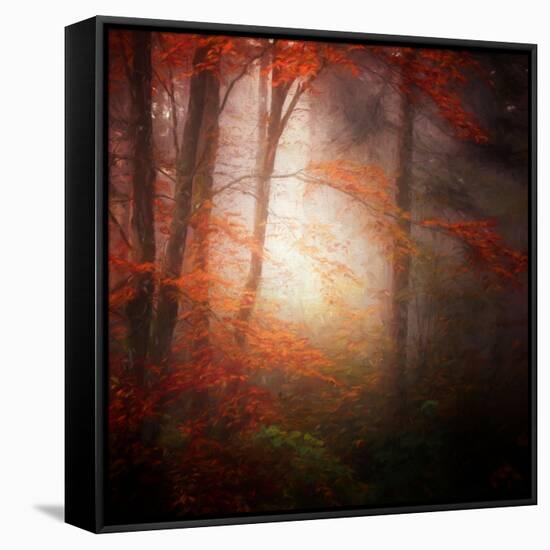 Start-Philippe Sainte-Laudy-Framed Stretched Canvas