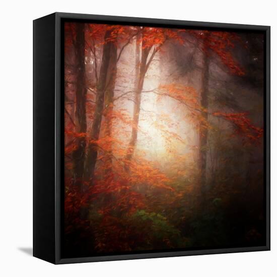 Start-Philippe Sainte-Laudy-Framed Stretched Canvas