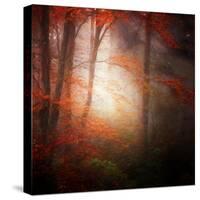 Start-Philippe Sainte-Laudy-Stretched Canvas