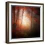 Start-Philippe Sainte-Laudy-Framed Photographic Print