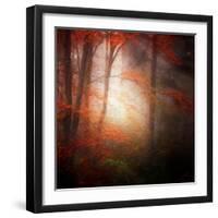 Start-Philippe Sainte-Laudy-Framed Photographic Print