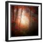 Start-Philippe Sainte-Laudy-Framed Photographic Print