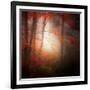 Start-Philippe Sainte-Laudy-Framed Photographic Print