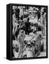 Starting Grid, British Grand Prix, Silverstone, Northamptonshire, 1971-null-Framed Stretched Canvas