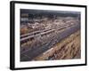 Starting Grid of the 1967 French Grand Prix at Le Mans-null-Framed Photographic Print