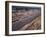 Starting Grid of the 1967 French Grand Prix at Le Mans-null-Framed Photographic Print