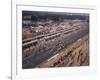 Starting Grid of the 1967 French Grand Prix at Le Mans-null-Framed Photographic Print