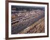 Starting Grid of the 1967 French Grand Prix at Le Mans-null-Framed Photographic Print