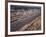 Starting Grid of the 1967 French Grand Prix at Le Mans-null-Framed Photographic Print