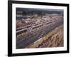 Starting Grid of the 1967 French Grand Prix at Le Mans-null-Framed Photographic Print