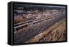 Starting Grid of the French Grand Prix, Le Mans, 1967-null-Framed Stretched Canvas