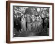 Brown Frame