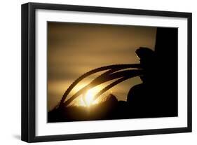 Starting the Day-Dan Ballard-Framed Photographic Print