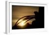 Starting the Day-Dan Ballard-Framed Photographic Print