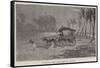 Starting the Mail-Cart in Ceylon-Charles Edwin Fripp-Framed Stretched Canvas