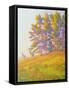 Startled-William Ireland-Framed Stretched Canvas