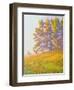 Startled-William Ireland-Framed Giclee Print