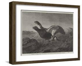 Startled-Harrison William Weir-Framed Giclee Print