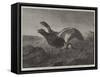 Startled-Harrison William Weir-Framed Stretched Canvas