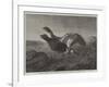 Startled-Harrison William Weir-Framed Giclee Print