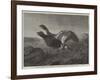 Startled-Harrison William Weir-Framed Giclee Print