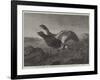 Startled-Harrison William Weir-Framed Giclee Print