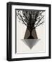 Startree Brown-null-Framed Art Print