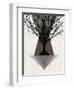 Startree Brown-null-Framed Art Print