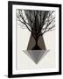 Startree Brown-null-Framed Art Print