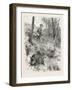 Starts a Pig While Looking for Woodcock, 1884-null-Framed Giclee Print