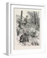 Starts a Pig While Looking for Woodcock, 1884-null-Framed Giclee Print