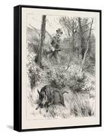 Starts a Pig While Looking for Woodcock, 1884-null-Framed Stretched Canvas
