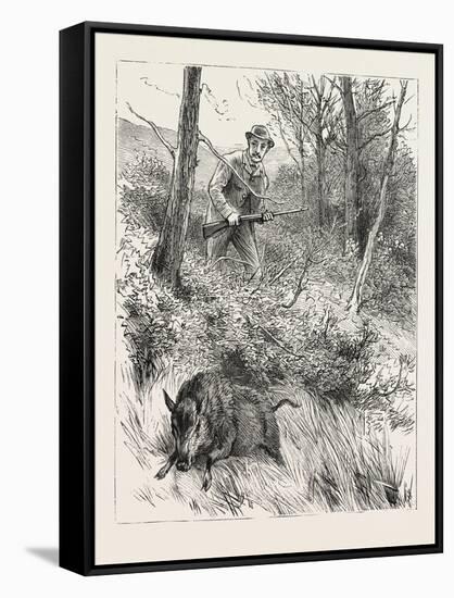 Starts a Pig While Looking for Woodcock, 1884-null-Framed Stretched Canvas