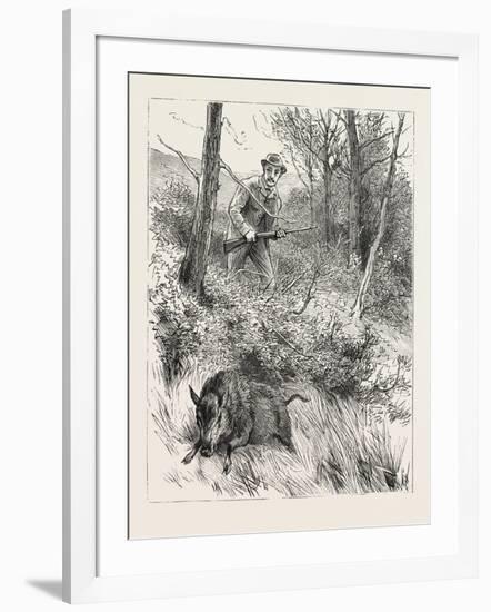 Starts a Pig While Looking for Woodcock, 1884-null-Framed Giclee Print