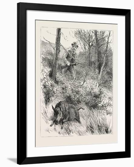 Starts a Pig While Looking for Woodcock, 1884-null-Framed Giclee Print