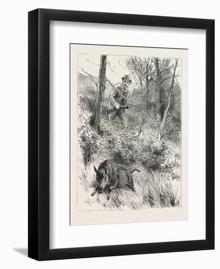 Starts a Pig While Looking for Woodcock, 1884-null-Framed Giclee Print