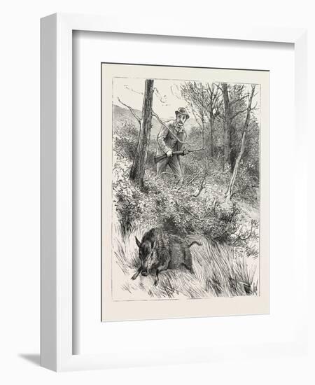 Starts a Pig While Looking for Woodcock, 1884-null-Framed Giclee Print