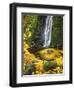 Starvation Creek Falls Creates a Maple Leaf Whirlpool on Water-Steve Terrill-Framed Photographic Print