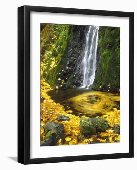 Starvation Creek Falls Creates a Maple Leaf Whirlpool on Water-Steve Terrill-Framed Photographic Print