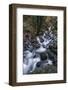 Starvation Creek Falls-Belinda Shi-Framed Photographic Print