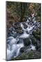 Starvation Creek Falls-Belinda Shi-Mounted Photographic Print