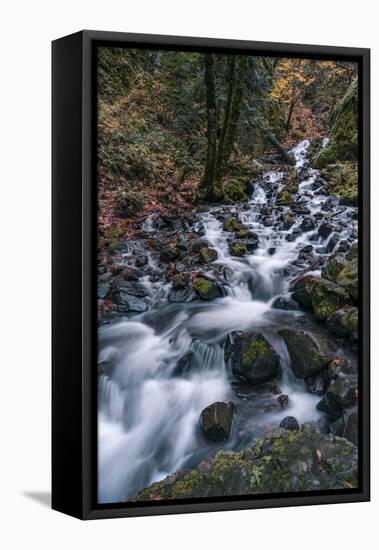 Starvation Creek Falls-Belinda Shi-Framed Stretched Canvas