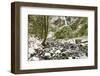 Starvation Creek near Sandy, Columbia Gorge National Scenic Area, Oregon, USA-Stuart Westmorland-Framed Photographic Print