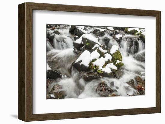 Starvation Creek near Sandy, Columbia Gorge National scenic Area, Oregon, USA-Stuart Westmorland-Framed Photographic Print