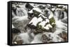 Starvation Creek near Sandy, Columbia Gorge National scenic Area, Oregon, USA-Stuart Westmorland-Framed Stretched Canvas