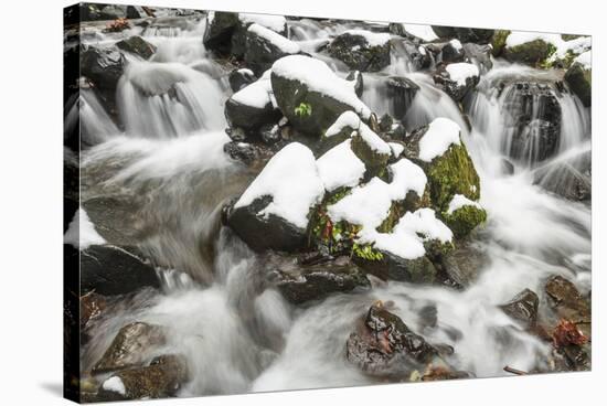 Starvation Creek near Sandy, Columbia Gorge National scenic Area, Oregon, USA-Stuart Westmorland-Stretched Canvas