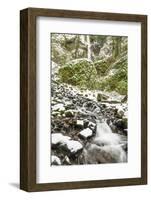 Starvation Creek near Sandy, Columbia Gorge National Scenic Area, Oregon, USA-Stuart Westmorland-Framed Photographic Print