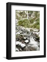 Starvation Creek near Sandy, Columbia Gorge National Scenic Area, Oregon, USA-Stuart Westmorland-Framed Photographic Print