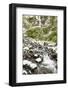 Starvation Creek near Sandy, Columbia Gorge National Scenic Area, Oregon, USA-Stuart Westmorland-Framed Photographic Print