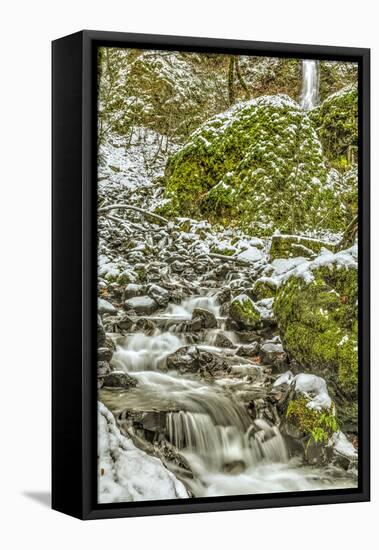 Starvation Creek near Sandy, Columbia Gorge National scenic Area, Oregon, USA-Stuart Westmorland-Framed Stretched Canvas